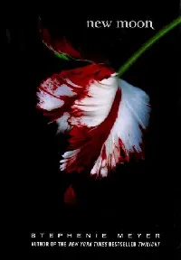 New Moon