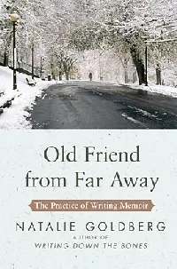Old Friend from Far Away: The Practice of Writing Memoir