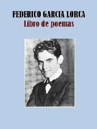 Libro de poemas
