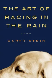 The Art of Racing in the Rain