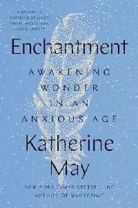Enchantment: Awakening Wonder in an Anxious Age