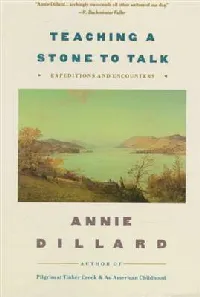 Teaching a Stone to Talk: Expeditions and Encounters