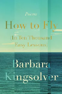 How to Fly in Ten Thousand Easy Lessons