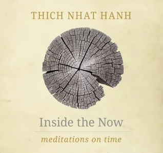 Inside the Now: Meditations on Time cover