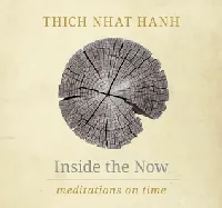 Inside the Now: Meditations on Time