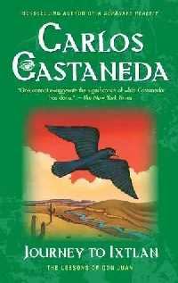 Journey to Ixtlan: The Lessons of Don Juan